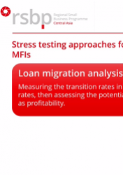 Stress testing basics for small business banks and MFIs